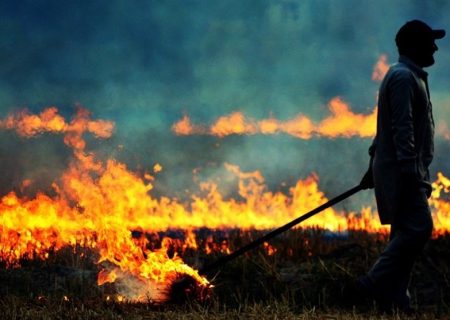 پویش مردمی “نه به آتش‌زدن پوشال برنج” آغاز راهی برای رسیدن به هوای پاک در لنجان