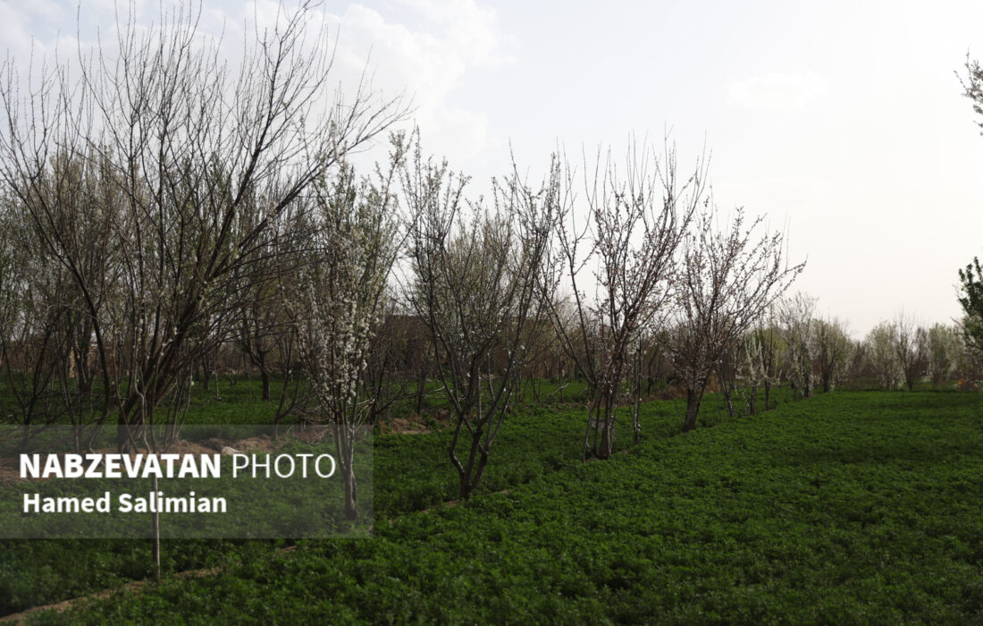 اسماعیلی احمدی: ثبت آثار ناملموس ضرورتی برای ماندگاری فرهنگ و هویت شهرهای ایران