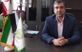 کشف دوتن چوب بلوط قاچاق در لنجان