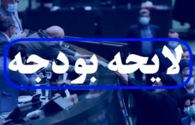 بخش اول لایحه بودجه ۱۴۰۴ به مجلس تقدیم می‌شود