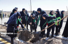 آیین کاشت نهال در عرصه شهری باغبادران