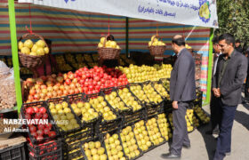 بازدید بخشدار باغبهادران از سومین جشنواره بِه باغبادران