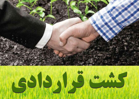 حمایت وزارت جهاد کشاورزی از اجرا و توسعه کشت قراردادی توسط بخش خصوصی