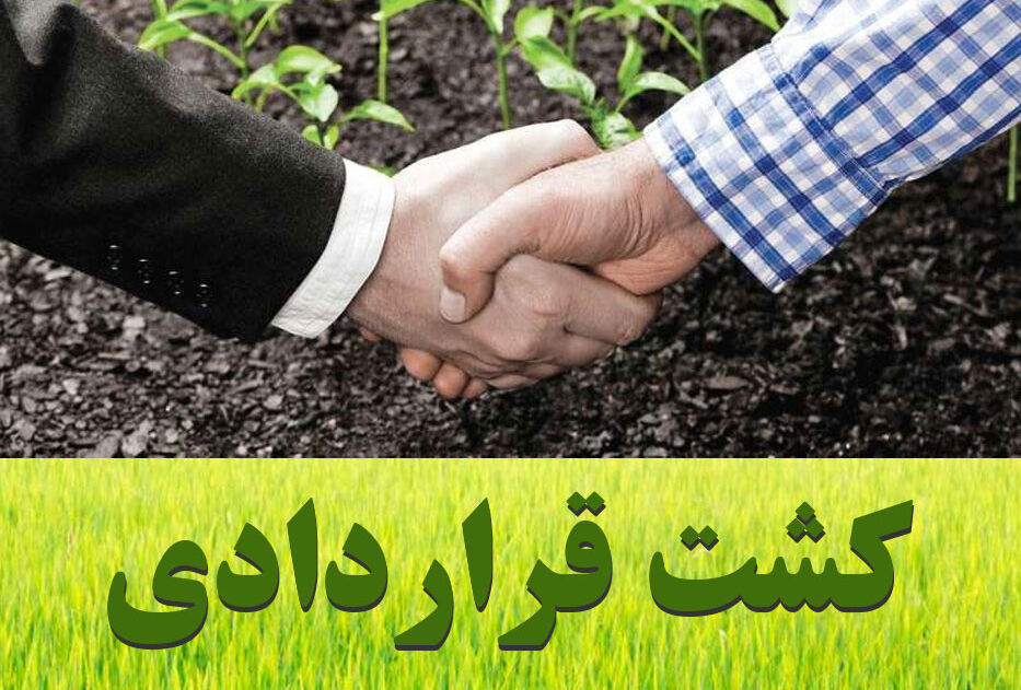 حمایت وزارت جهاد کشاورزی از اجرا و توسعه کشت قراردادی توسط بخش خصوصی